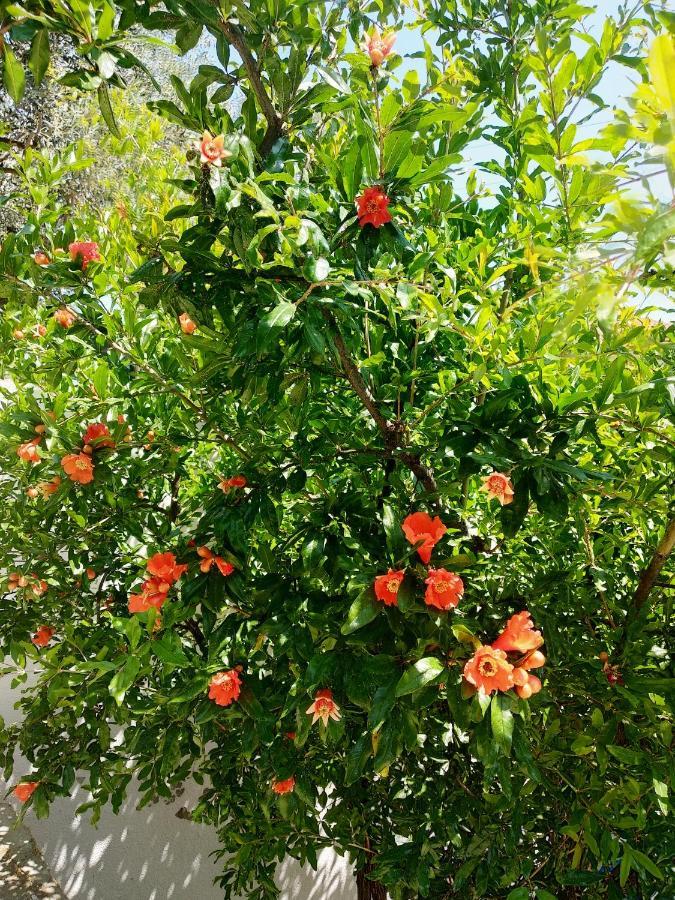 Green Leaves Nea Iraklitsa المظهر الخارجي الصورة